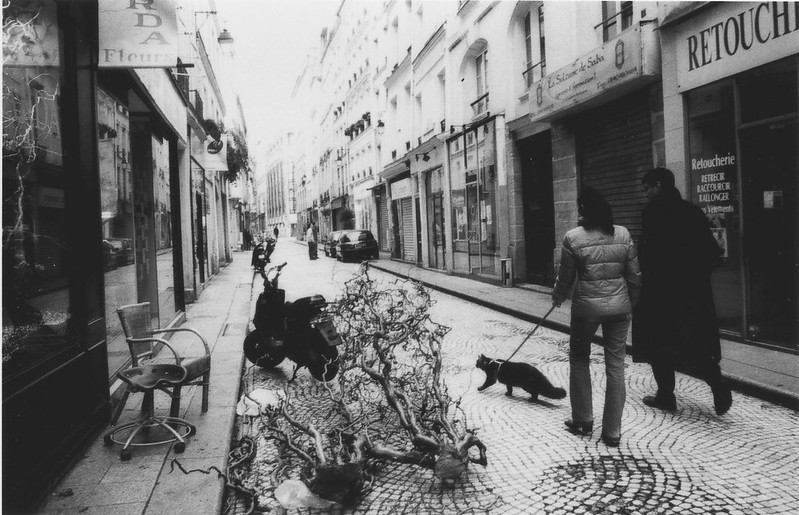 A black-and-white street scene on a narrow Paris block: two women walk a cat on a leash across cobblestones, past shuttered shopfronts, parked scooters, and a bare tangled tree lying on the sidewalk.